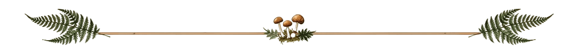 Botanical divider - fern-mushroom